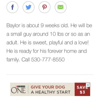 Happy Paws Rescue - Animal Shelters Near Me - Yuba City, California Happy Paws Rescue - Animal Shelters Near Me - Yuba City, California