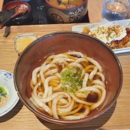 Udon Noodles