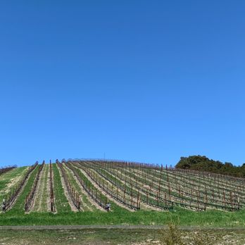 Niner Wine Estates - Wine Tasting Room Near Me - Paso Robles, California