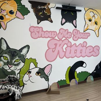 The Cattitude Cafe - Themed Cafes Near Me - Sioux Falls, South Dakota