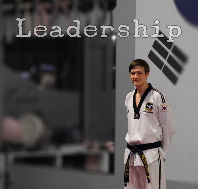 Lee's Martial Arts Academy Taekwondo & Hapkido Logo