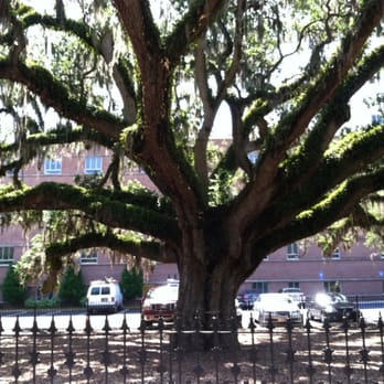 Old Savannah Tours - Tours Near Me - Savannah, Georgia Old Savannah Tours - Tours Near Me - Savannah, Georgia