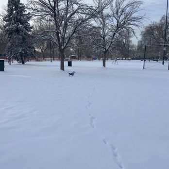 Mestizo-Curtis Park - Parks Near Me - Denver, Colorado Mestizo-Curtis Park - Parks Near Me - Denver, Colorado