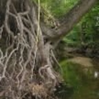 Blunn Creek Greenbelt - Hiking Near Me - Austin, Texas Blunn Creek Greenbelt - Hiking Near Me - Austin, Texas