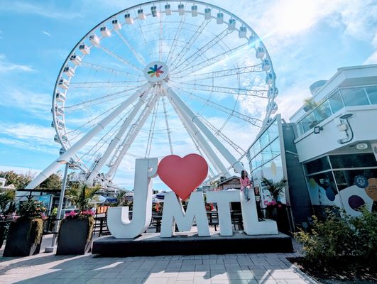 La Grande Roue de Montréal by null