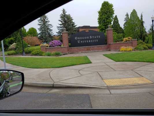 Oregon State University by null