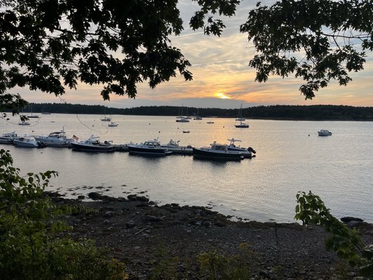 Abel's Lobster by null