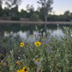 Laguna Lake Park