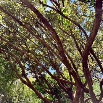 Salesforce Park - Parks Near Me - San Francisco, California