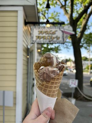 Wild Willy’s Ice Cream by null