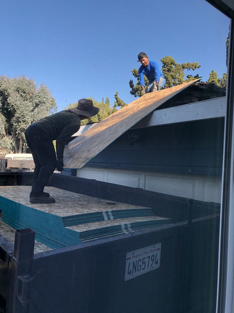 Slide of Dragon's Roofing