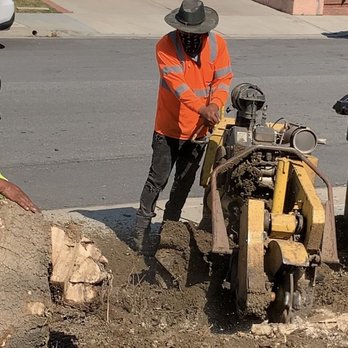 Bernabe Tree Service - Tree Services Near Me - Riverside, California