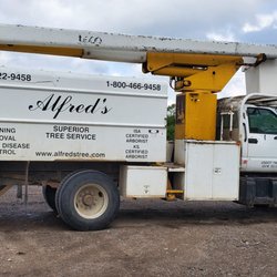 Alfred's Superior Tree Service - Bucket truck makes us able to get the jobs done easier and with less risk.