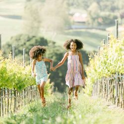 Carmel Valley Ranch - Destination