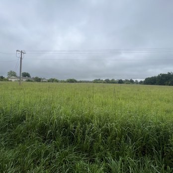 Brooks Nature Area - Parks Near Me - Marshall, Michigan