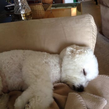 Holistic Pet Cuisine - Pet Stores Near Me - Boca Raton, Florida