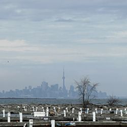 Port Credit Memorial Park - Can see Toronto skyline from the park!