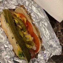 Scooter Dog TX - The Chicago Dog