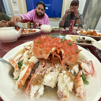 粤皇鼎海鲜会所 - The King - Seafood Near Me - Point, New York 粤皇鼎海鲜会所 - The King - Seafood Near Me - Point, New York