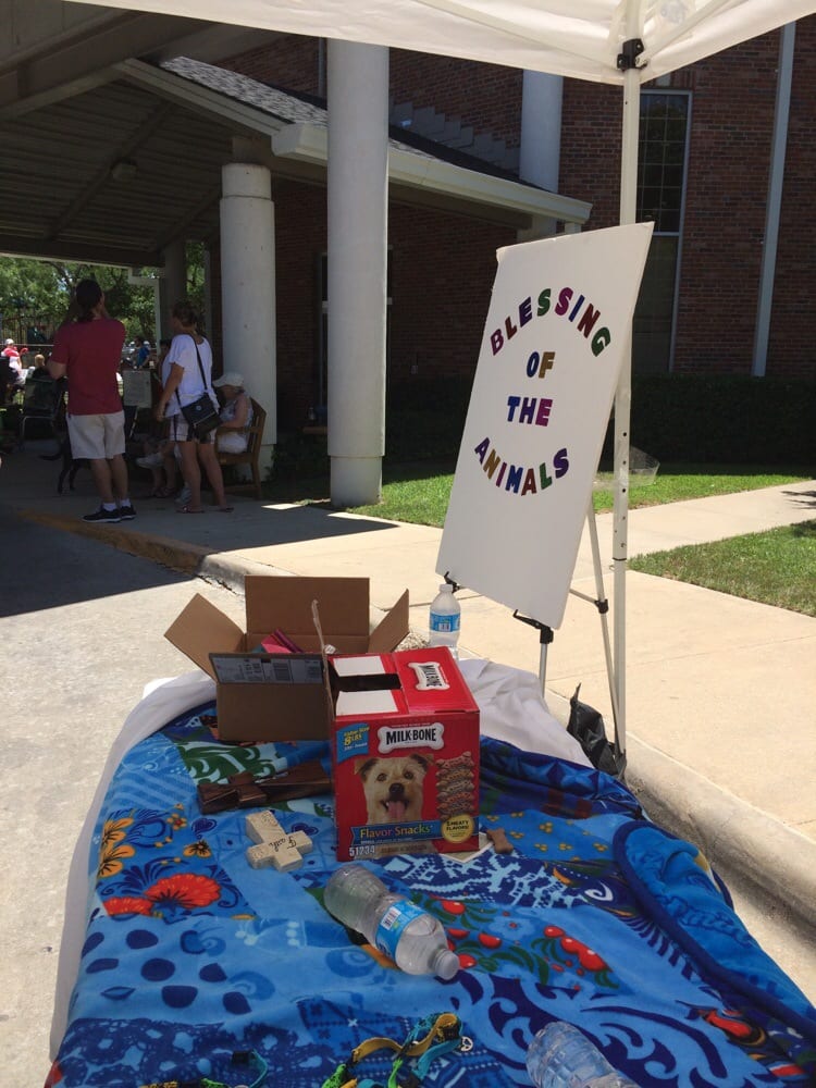 Walnut Hill United Methodist Church - childcare center in Dallas, TX