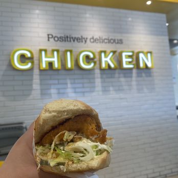 Starbird Chicken - Nashville Hot Sandwich - Chicken Shop Near Me - Campbell, California Starbird Chicken - Nashville Hot Sandwich - Chicken Shop Near Me - Campbell, California