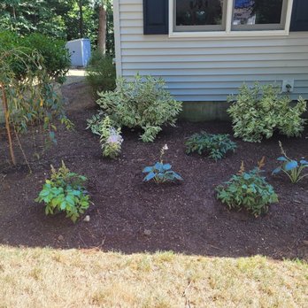 MC Tree Services and Landscaping - MC Tree Services and Landscaping - Landscaping Near Me MC Tree Services and Landscaping - MC Tree Services and Landscaping - Landscaping Near Me