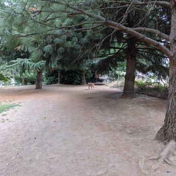 Ike Memorial Off-leash Dog Park - Dog Parks Near Me - Vancouver, Washington Ike Memorial Off-leash Dog Park - Dog Parks Near Me - Vancouver, Washington