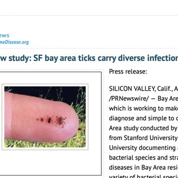 Glen Canyon Park - various size tick examples to watch out for on you and your pet - Parks Near Me - San Francisco, California Glen Canyon Park - various size tick examples to watch out for on you and your pet - Parks Near Me - San Francisco, California
