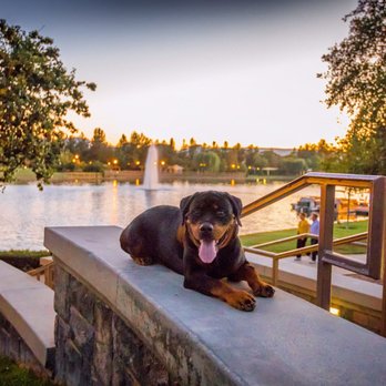 Off Leash K9 Training  - Pet Training Near Me - Murrieta, California