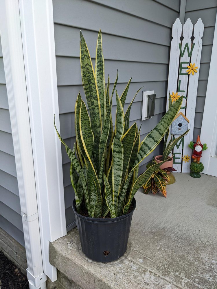 OAKLAND NURSERY 28 Photos & 30 Reviews 5211 Johnstown Rd, New