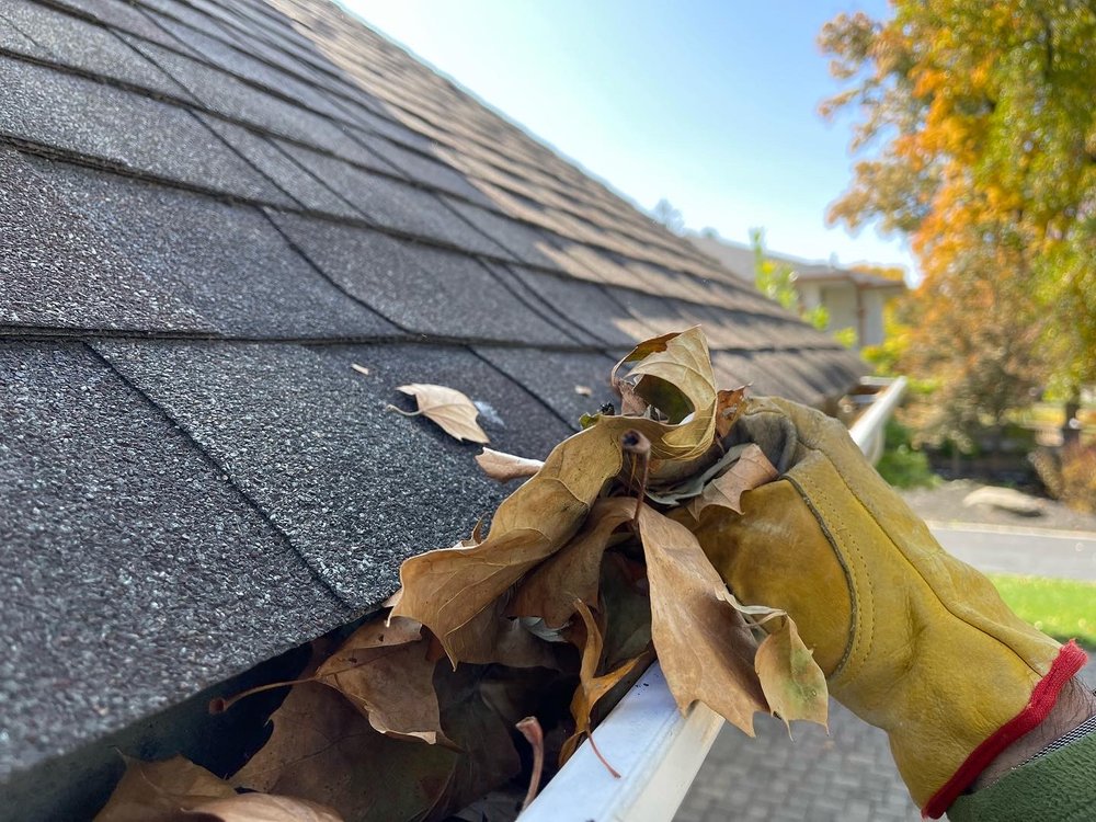 GUTTER GUARDS DIRECT Updated August 2024 16 Photos 400 Linden Ave