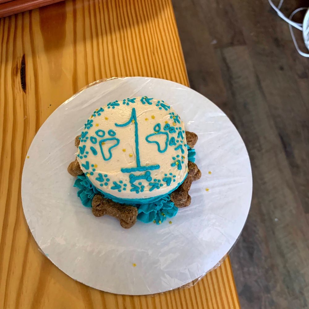 The Brewhaus Bakery - a birthday cake on a plate - Community Service/Non-Profit Near Me - Cincinnati, Ohio The Brewhaus Bakery - a birthday cake on a plate - Community Service/Non-Profit Near Me - Cincinnati, Ohio