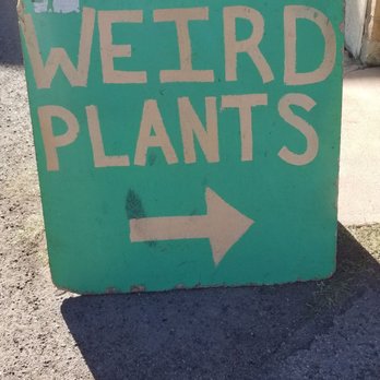Eco Gro - Sign in the lot - Nurseries & Gardening Near Me - Tucson, Arizona Eco Gro - Sign in the lot - Nurseries & Gardening Near Me - Tucson, Arizona