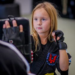 Hero Martial Arts - Beautiful