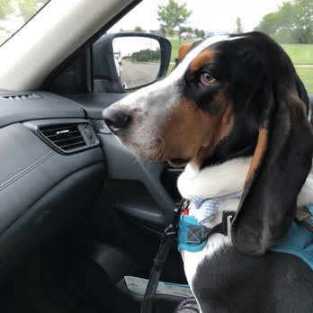 Petco - Pet Training Near Me - Waco, Texas Petco - Pet Training Near Me - Waco, Texas