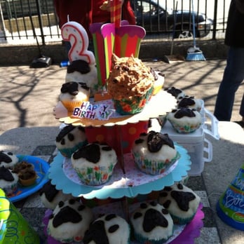 Sherry Park Dog Run - A very special dog turns two at Sherry Park! - Dog Parks Near Me - Woodside, New York Sherry Park Dog Run - A very special dog turns two at Sherry Park! - Dog Parks Near Me - Woodside, New York