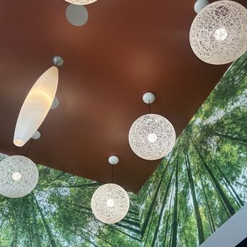 Sushi-Thai Restaurant - Ceiling view - Sushi Bars Near Me - Raleigh, North Carolina Sushi-Thai Restaurant - Ceiling view - Sushi Bars Near Me - Raleigh, North Carolina