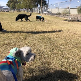 Spike's Desert Dog Park - When the whole gang needs to potty, it's the perfect stop! - Dog Parks Near Me - Needles, California Spike's Desert Dog Park - When the whole gang needs to potty, it's the perfect stop! - Dog Parks Near Me - Needles, California
