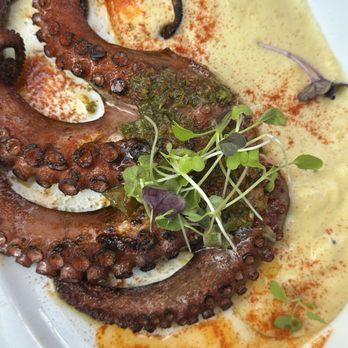 Rumba Cubana - Pulpo/octopus appetizer special. - Cuban Near Me - Jersey City, New Jersey Rumba Cubana - Pulpo/octopus appetizer special. - Cuban Near Me - Jersey City, New Jersey
