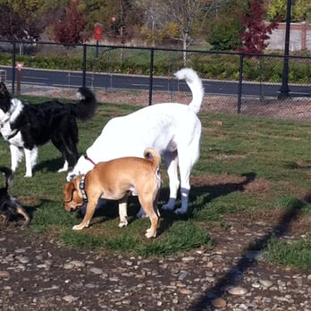 FIDO Field - Folsom Dog Park - Dog Parks Near Me - Folsom, California FIDO Field - Folsom Dog Park - Dog Parks Near Me - Folsom, California