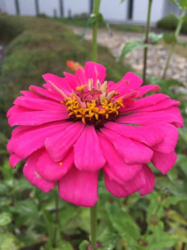 Sendai Astronomical Observatory