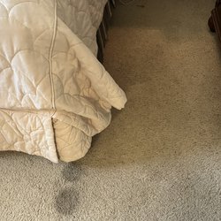 Coquina the Condominium - Old, stained carpet in bedroom that smells like urine and mildew.