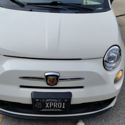 Reina International Auto