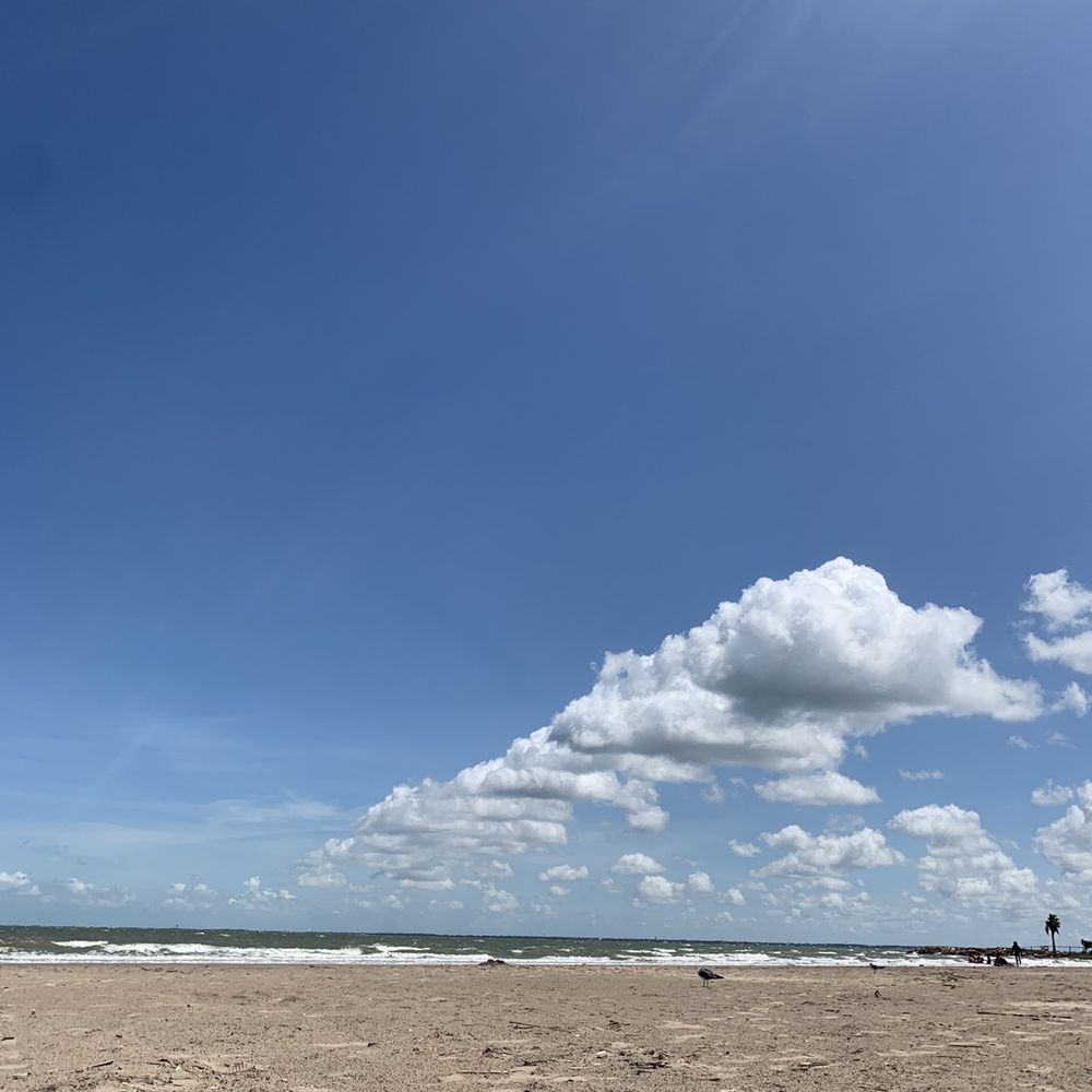 THE BEST 10 SURFING in HOUSTON, TX - Updated 2026 - Hours - Yelp