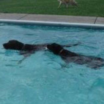 Greenlin Pet Resorts - Pet Training Near Me - Middletown, Pennsylvania