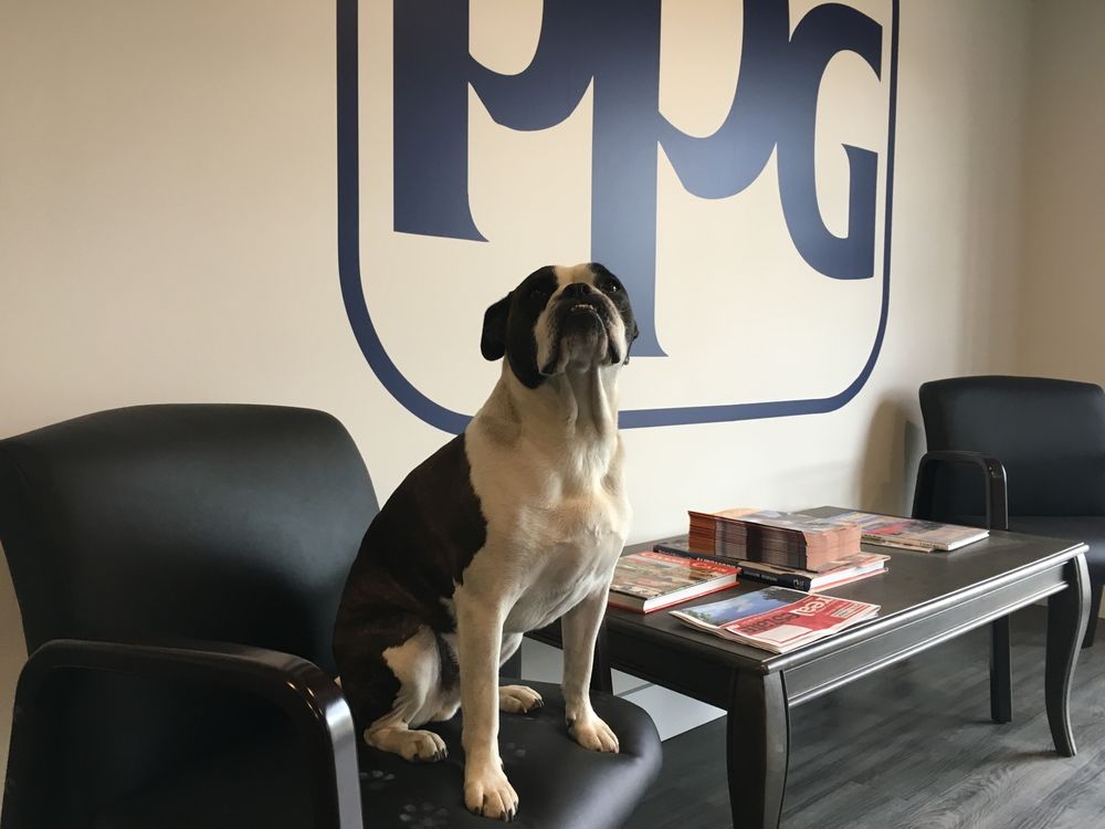 HAMMER COLLISION & GLASS Updated June 2024 47 Photos 752 Alpine