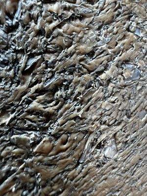 Balcones Canyonlands National Wildlife Refuge by null