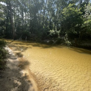 Bohemian Park - Nice, Clear, Clean Water - Parks Near Me - Fairhope, Alabama