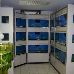 Diskus-Zierfisch-Heimtier-Paradies - Unsere Diskusanlage