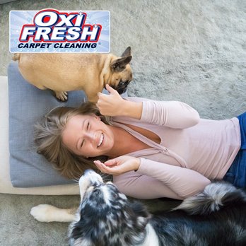 Oxi Fresh Carpet Cleaning - Carpet Cleaning Near Me Oxi Fresh Carpet Cleaning - Carpet Cleaning Near Me